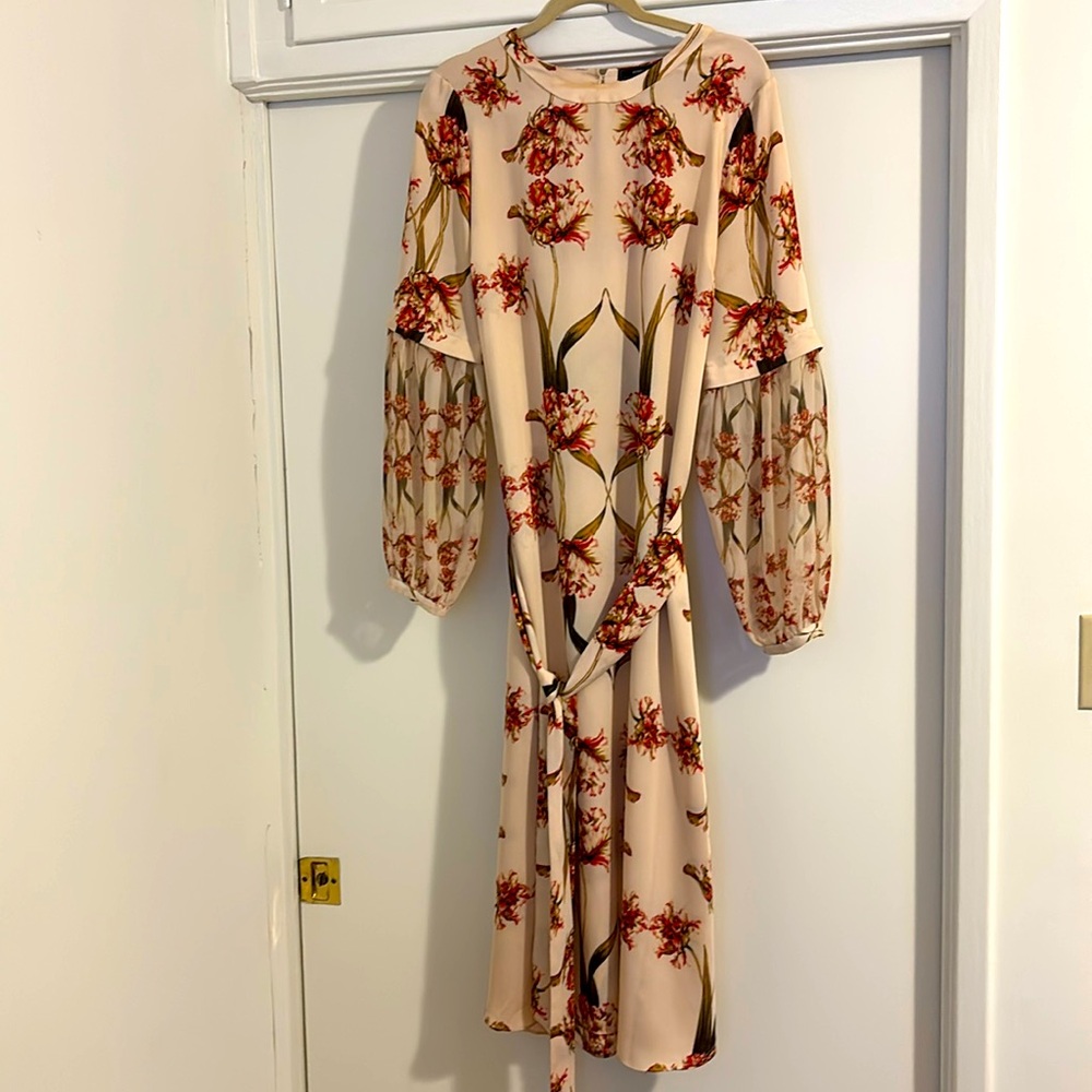 BCBG MaxAzria blush color with tulip print dress with belt, sheer sleeve